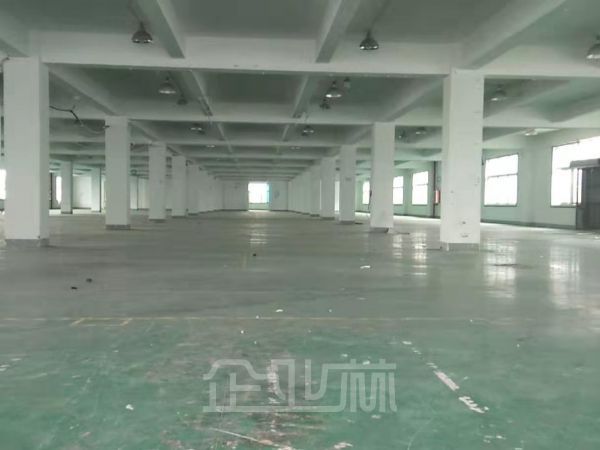松江新桥104板块7米层高7300平厂房出租 可分割