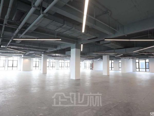 出售：奉贤金海公路厂房 10000平 单层 104版块