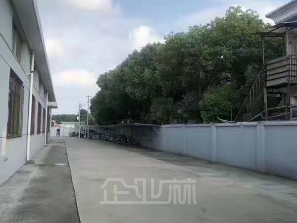 出租:松江九亭1270平 单层厂房 价格1.3元每平/天!!