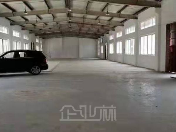出租:松江新桥 独门独院 1800平 单层 价格好谈!!!