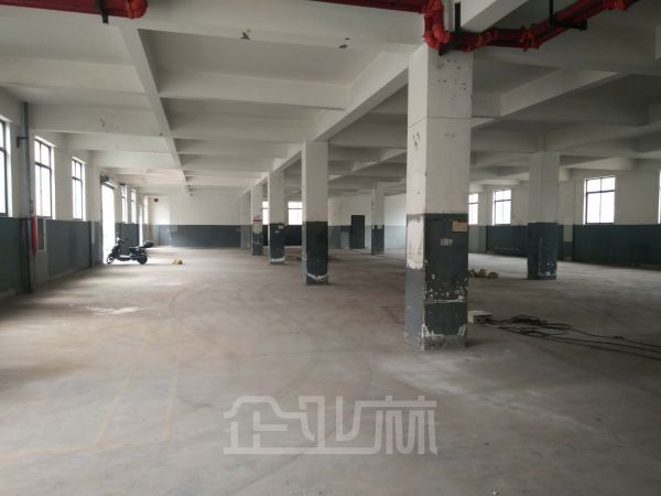 新桥2500平双层厂房对外出租   租金1.1元/天/平米