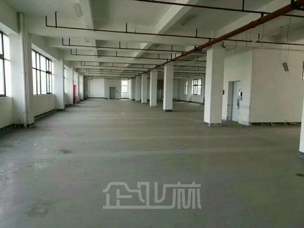 出租：松江新桥17288平 多层 104板块 价格好谈！！