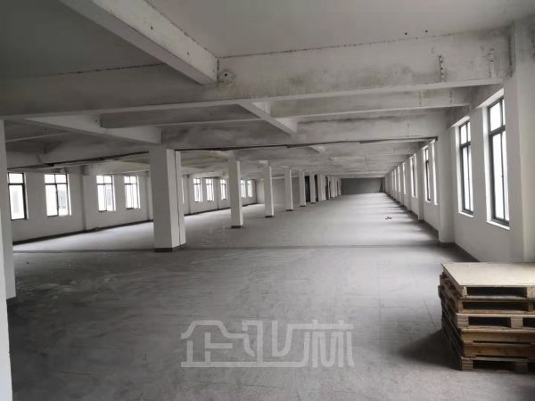 出租：松江新桥新飞路厂房 1300平 单层 可办环评