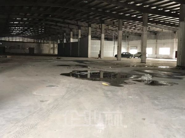 出租太仓5000平米单层厂房可分割