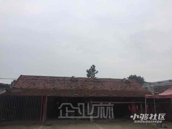 上海枫泾