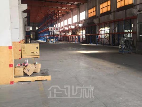 青阳路独栋单层6000平米可一半起租