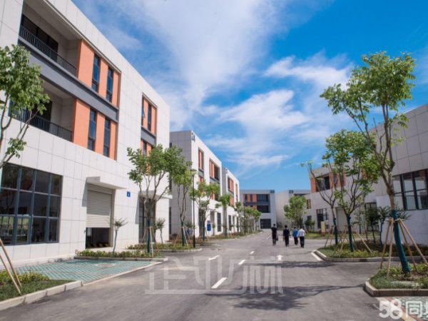 中南建筑厂房直售！国有50年产权！可贷款！