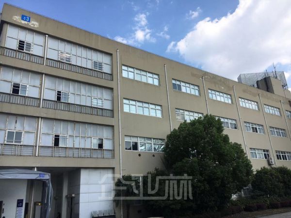 奉贤3900平四层厂房对外出租   租金1.2元/天/平米
