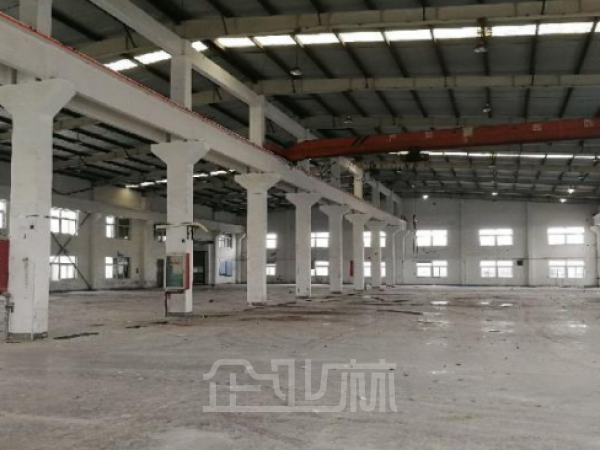 出租：上海嘉定华亭厂房 6000平 单层 可分租