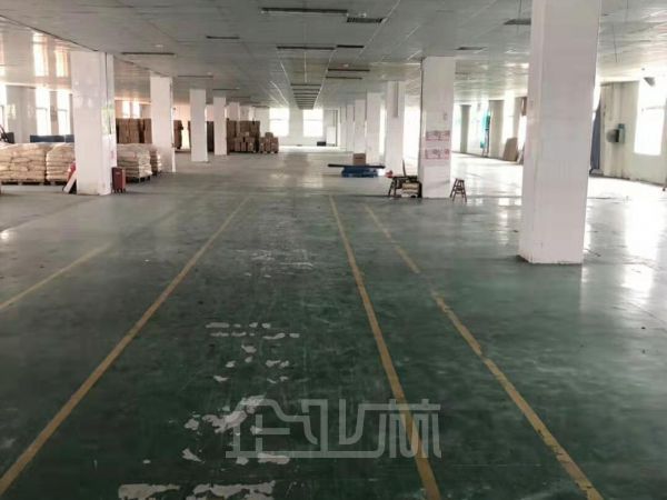 松江新浜镇厂房出租面积2300平，可分租，精装修办公室