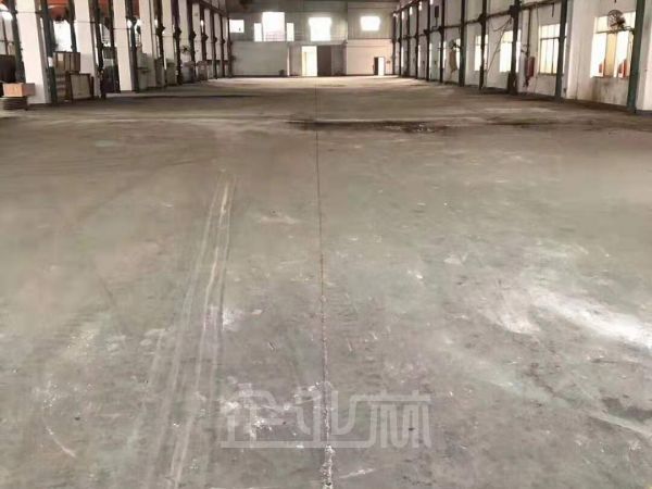 金山枫泾镇独门独院单层厂房出租面积2875平，绿证，104地块，可以环评