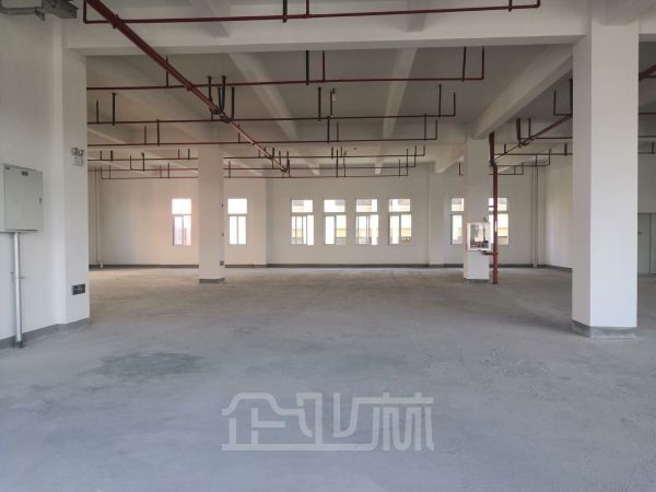 (出租) 宝山工业园区新建产业园7.2米层高带货梯3600平四层厂房送顶楼一半面积露台出租