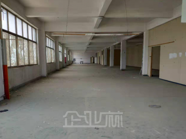 出租松江独门独院12000平厂房
