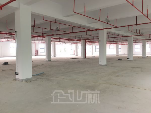 吴江运东 华东商业城附近 独门独院 可做仓储 有宿舍楼办公楼 4部5T货梯 可分租