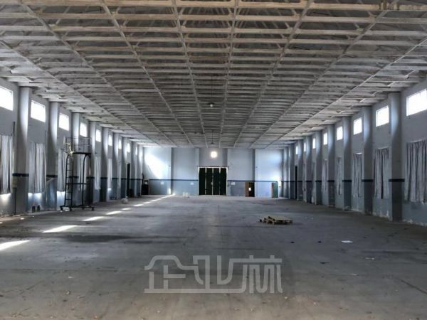 嘉定1000平独栋单层厂房对外出租    租金1.2元/天/平米