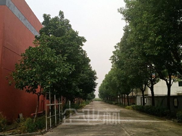 厂房正门图