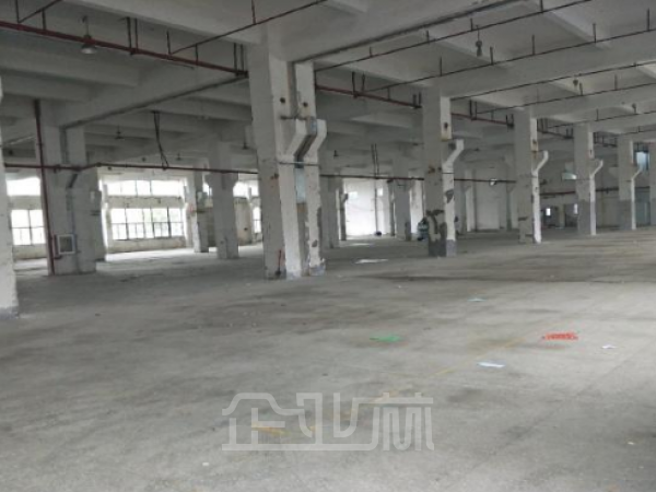 出租：嘉定南翔陈翔路厂房 1800平 多层 环氧地坪