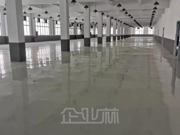 松江新格路2400平二楼厂房对外出租     租金0.88元/天/平米（行业不限）