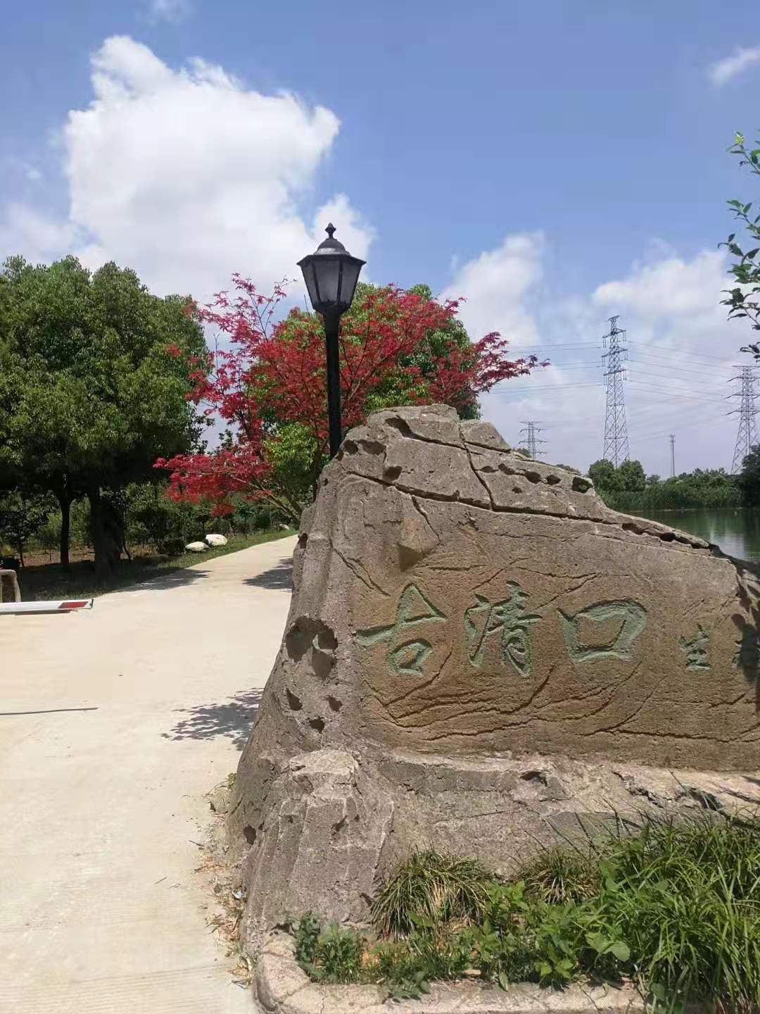 园区鸟瞰