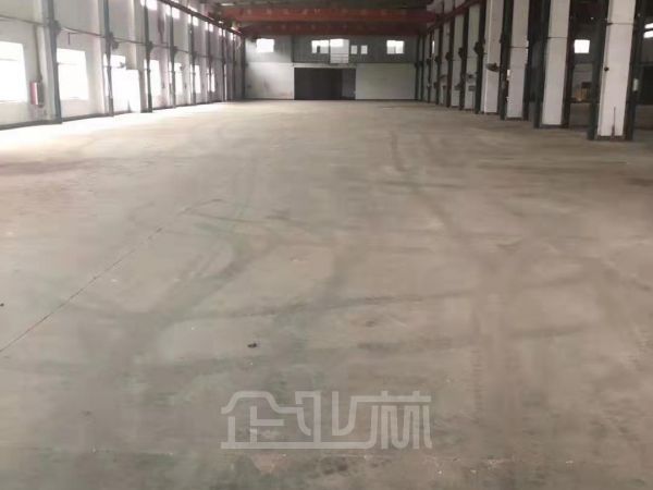 出租：金山枫泾镇104板块8米层高2300平厂房