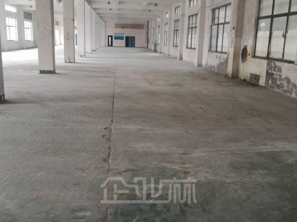 出租：松江新桥独门独院104板块1500平厂房