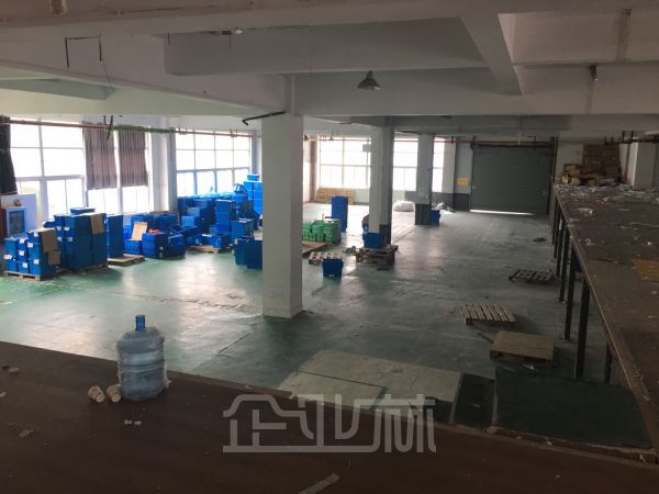 松江九亭盛龙路77号仓库出租800平
