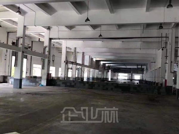 出租：松江工业区10000平 单层 104板块 独门独院 报价1.35元每平天！！
