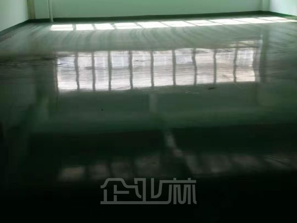 张家港市杨舍镇紫荆路18号厂房 仓库出租