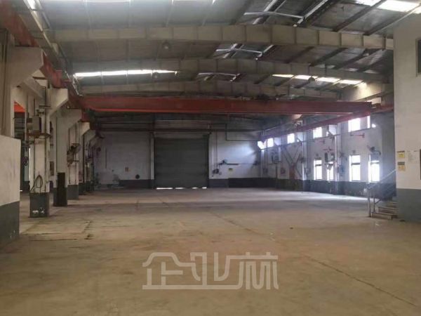 浙江嘉善县12000㎡单层厂房出租，层高7.5米，可行车，1000KVA大电量，空地大，有停车场，可分割