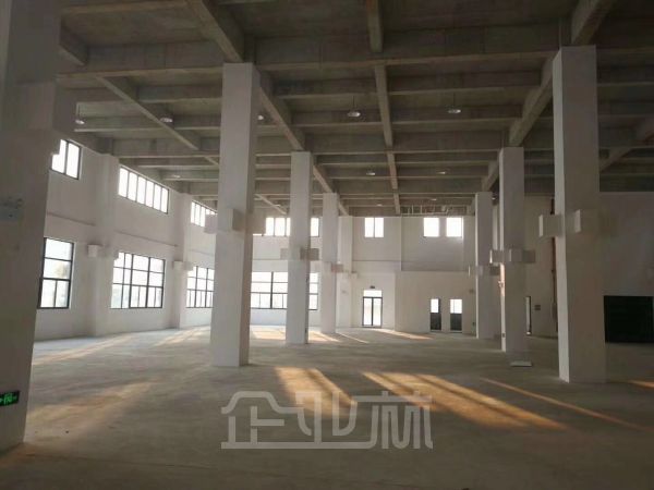 奉贤西渡1750平一层厂房对外出租    租金1.3元/天/平米