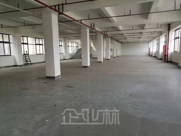 松江区新桥镇现有2710㎡厂房出租，层高5.3米，104板块可环评可注册，1000KVA大电量，有货梯，丙二类消防
