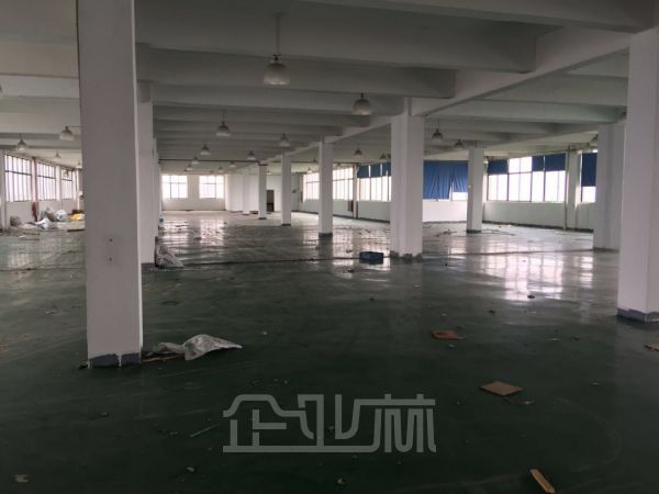 松江九亭地铁站附近全新装修4617平米厂房出租，3层【独门独院】，层高3米~5.3米，有行车，1.5元~1.7元/平.天