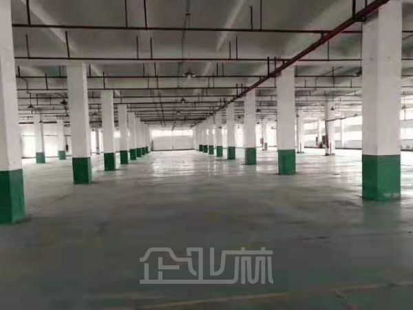 浦东曹路现有厂房仓库3楼4000平出租，层高5米，104板块包办环评，精装办公室