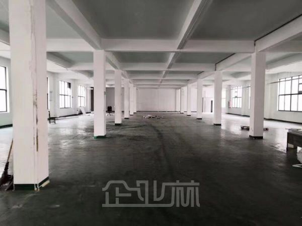 车墩 104板块厂房3600平 可分租