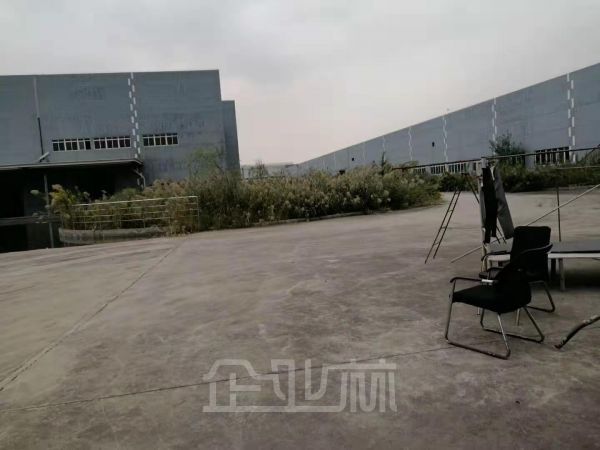 浦东新区宣桥镇独门独院单层厂房出租面积53000平，场地大，丁类消防
