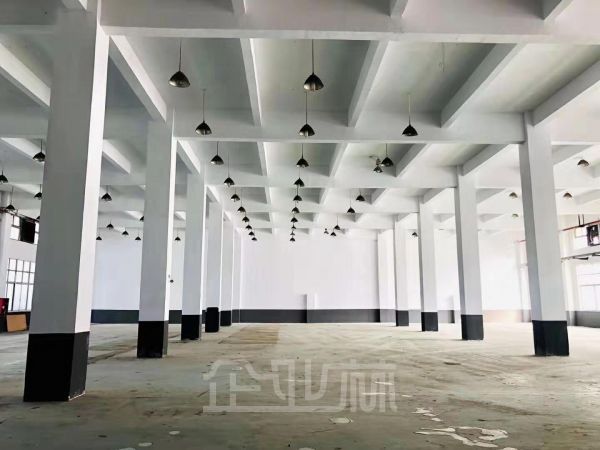 出租：松江新桥104板块8米层高800平厂房 可分割