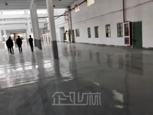 杨浦10000平单层厂房对外出租   租金1.6元/天/平米