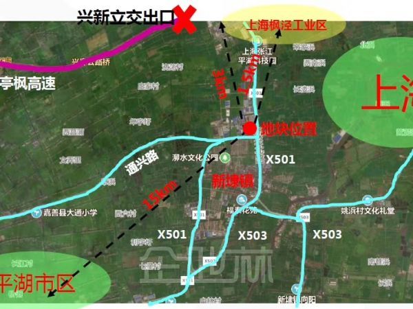 张江长三角科技城 独门独院厂房