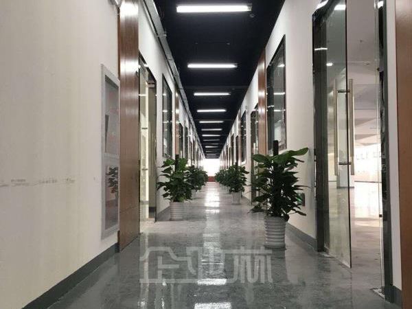 出租:闵行莘庄4000平两栋双层 独门独院 厂房 层高4.5米 价格1.8元每平天!