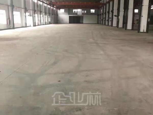 松江李塔汇镇104地块独门独院单层厂房出租面积2100平，产证齐全