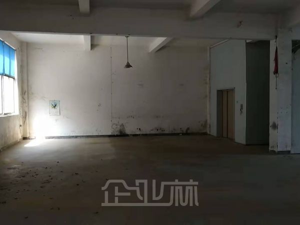 奉贤庄行104地块独门独院双层厂房出租面积4000平，证件齐全可注册可环评