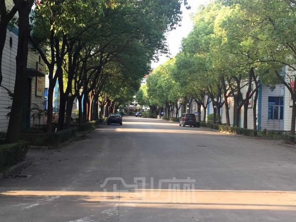 出租：嘉定曹安公路单层8米层高独栋厂房1800平