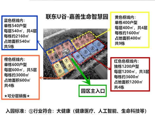 园区鸟瞰
