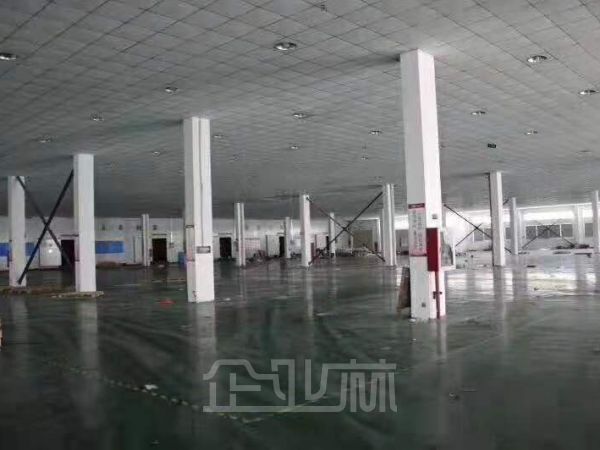 松江老城区厂房出租面积1500平，可灵活分割，交通非常便利
