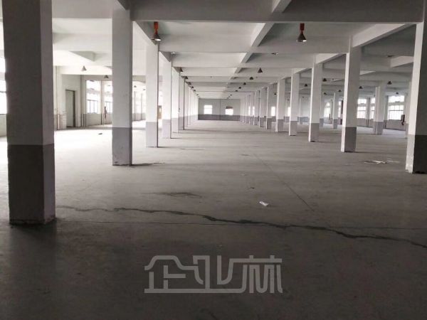 华新 104板块 单层厂房100000平 可分租