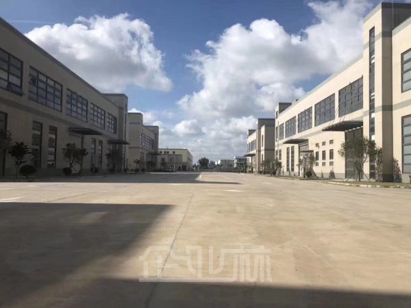 临港新建104板块 双层厂房62000平 可分租