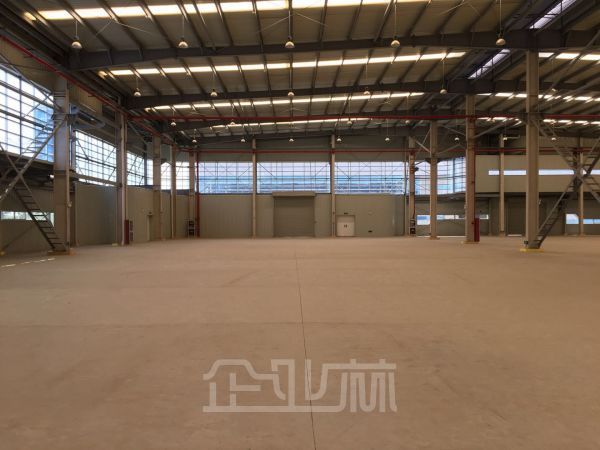 太仓经济开发区 新建单层厂房42000平 高度11米 可分租
