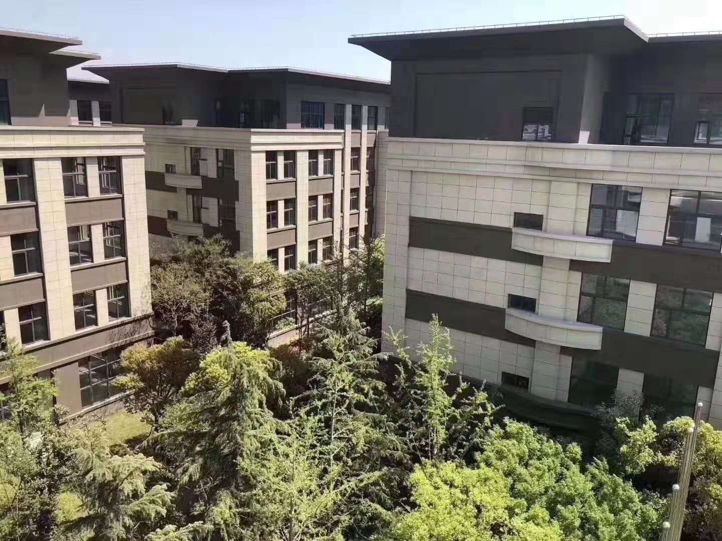 园区鸟瞰