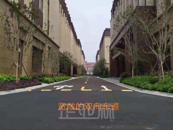 松江新桥  大小面积 独栋/联排可租可售 分层租赁500㎡起