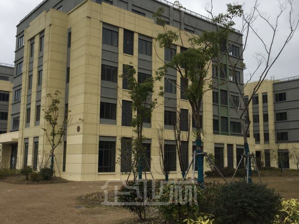 现房出售 104板块 独栋厂房面积2700平—3900平  仅剩4栋
